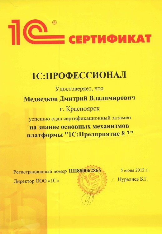 1С:Профессионал — Платформа «1С:Предприятие 8.2»